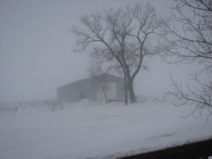 Snowy Outside