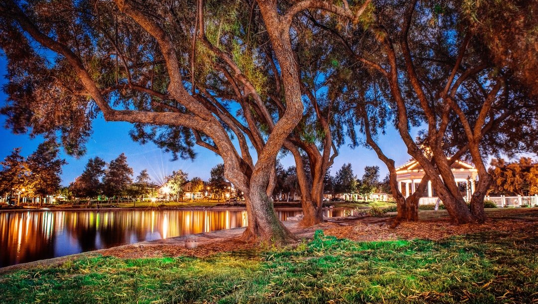 Temecula Wine Tours