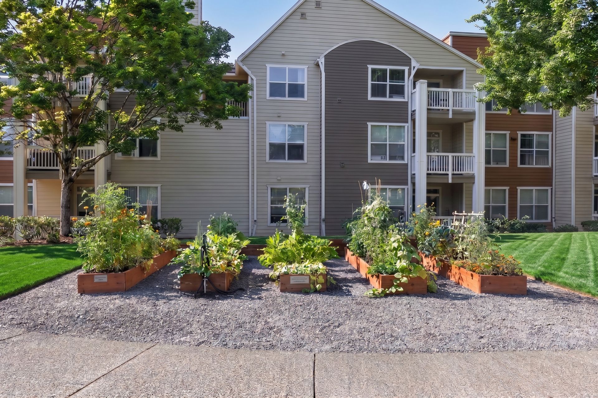 Apartment building with front garden beds, gravel border, and sidewalk in the foreground