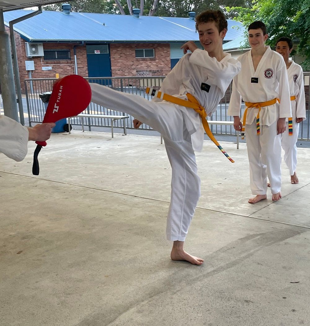 Taekwondo Kicking