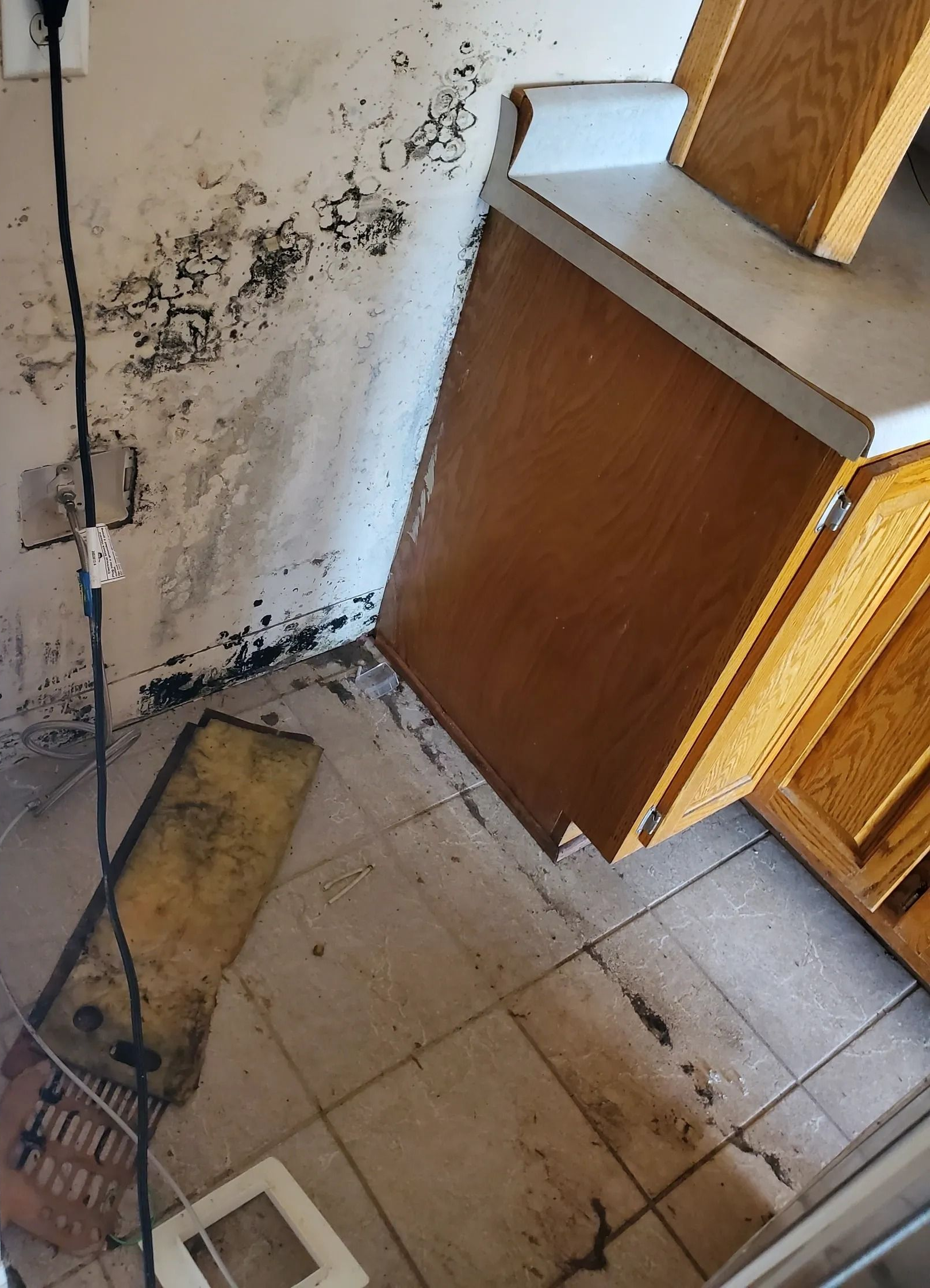Black mold growth on a kitchen wall and floor, next to a cabinet with a white countertop.