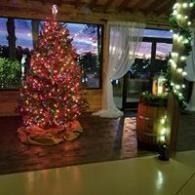 Lit Christmas tree indoors beside a decorated railing, with large windows and evening lights in the background