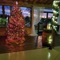 Decorated Christmas tree lit in a cozy room with city lights visible through the windows.