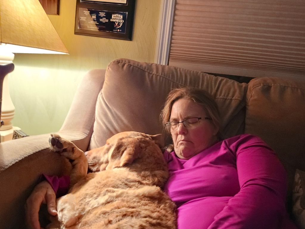 A woman is sitting on a couch with a dog on her lap.