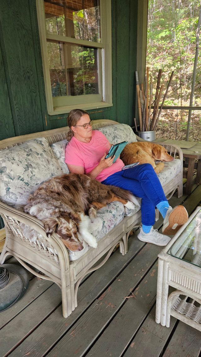 A woman is sitting on a couch on a porch with two dogs.