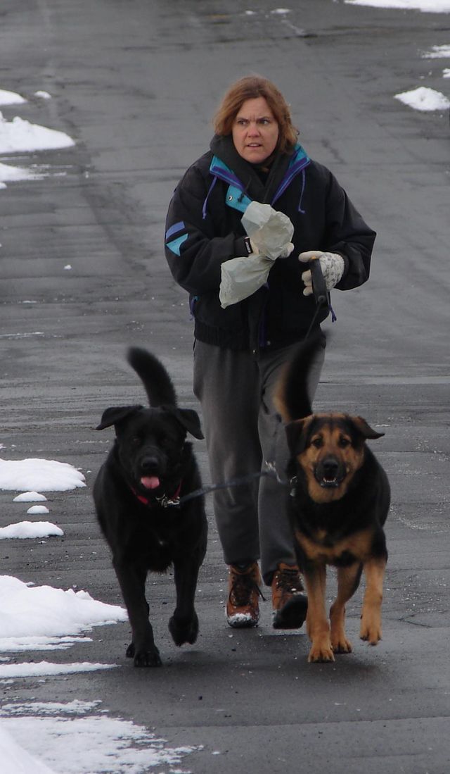 A woman is walking two dogs on a leash