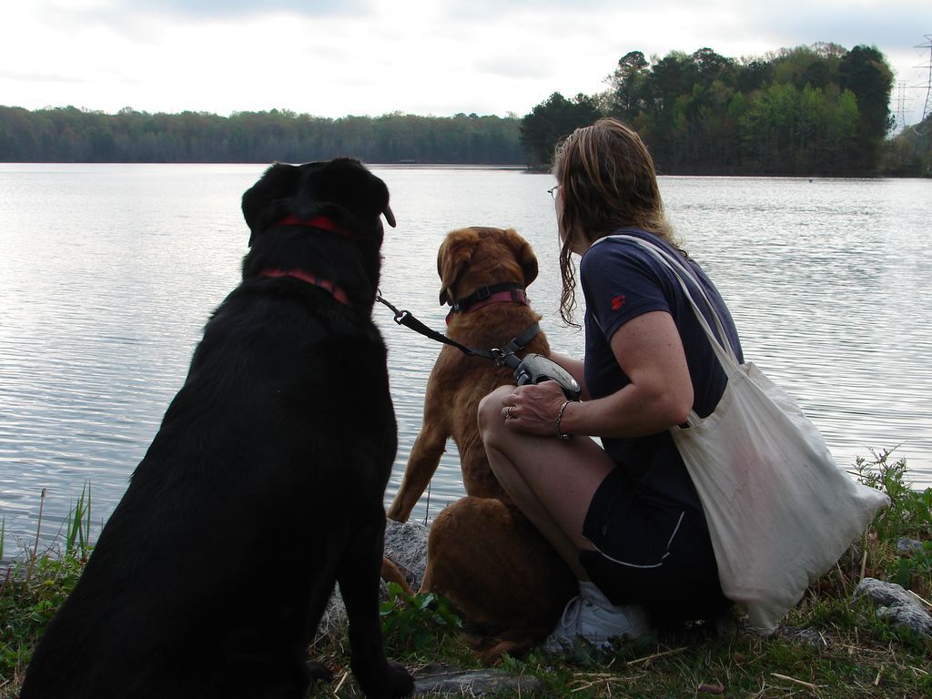 A woman and two dogs are looking at a lake