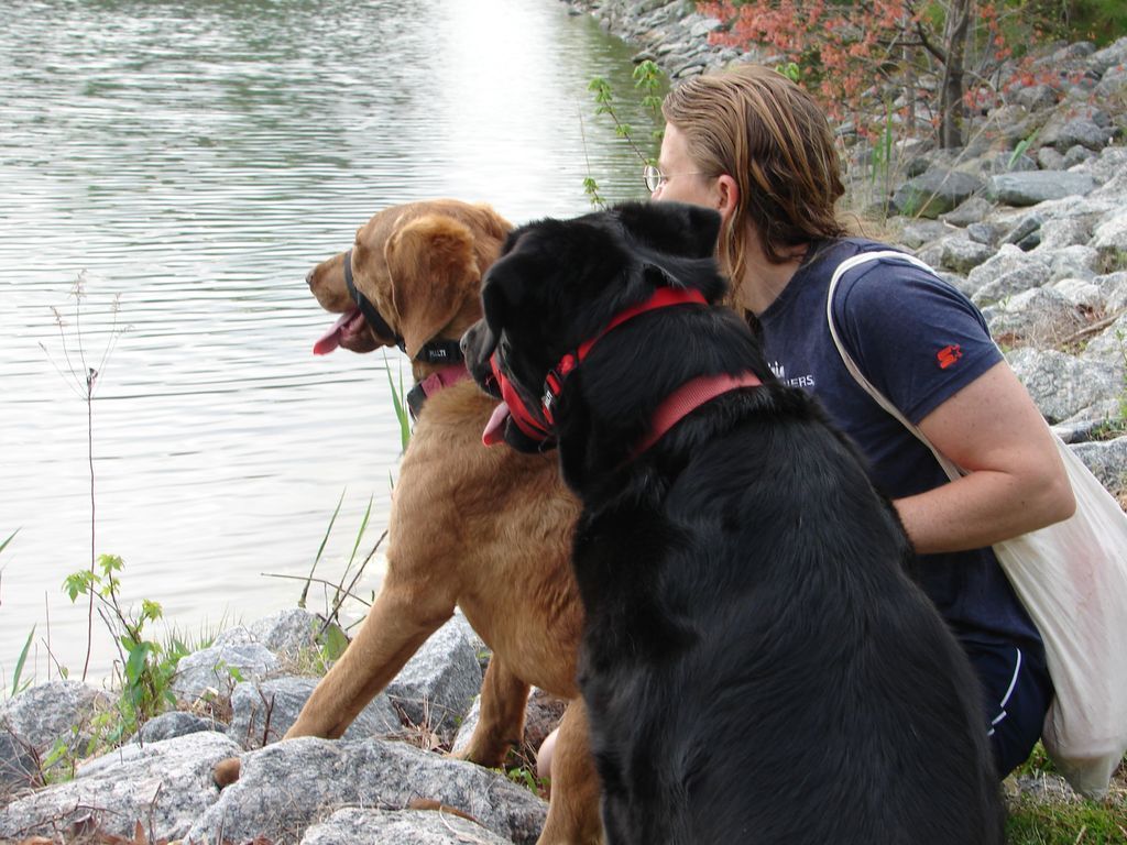 A woman and two dogs are looking at the water