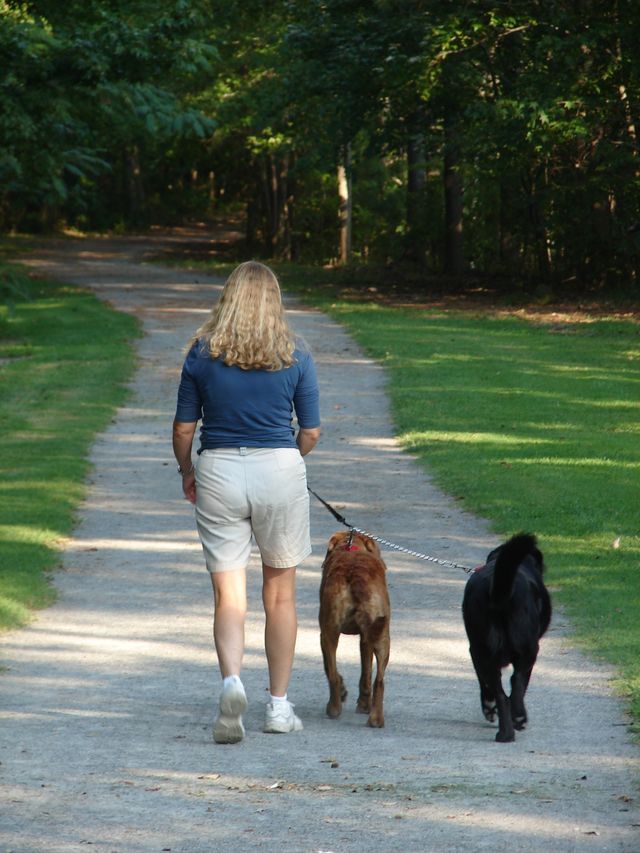 A woman is walking two dogs on a leash down a path.