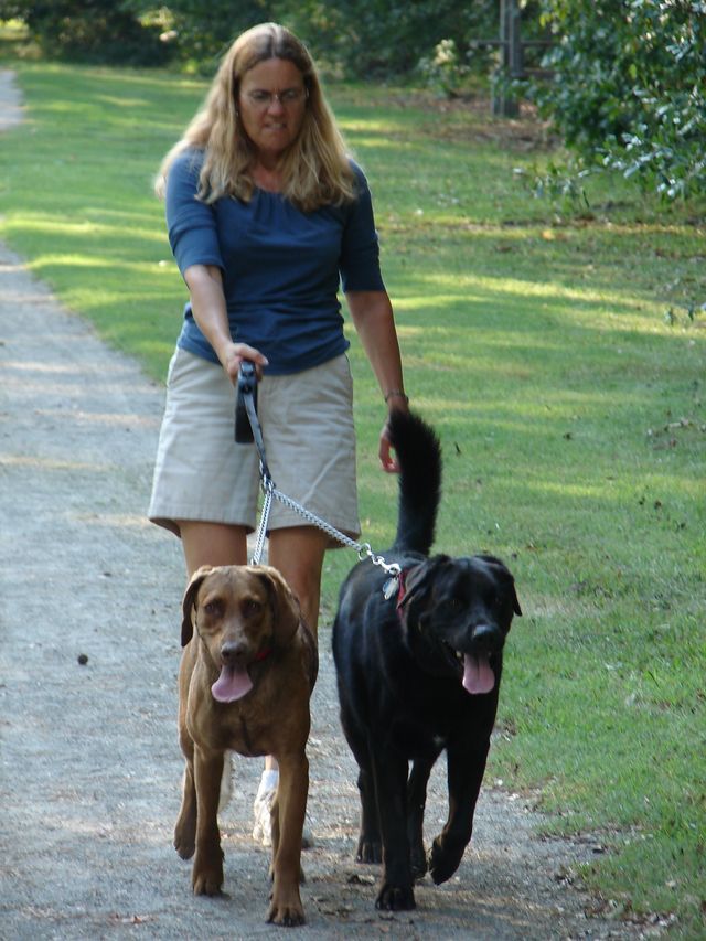 A woman is walking two dogs on a leash
