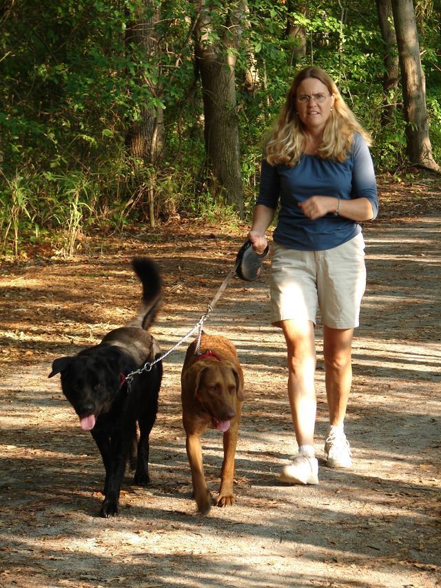 A woman is walking two dogs on a leash