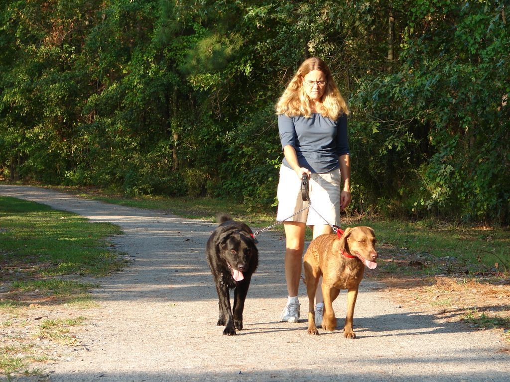 A woman is walking two dogs on a dirt path.