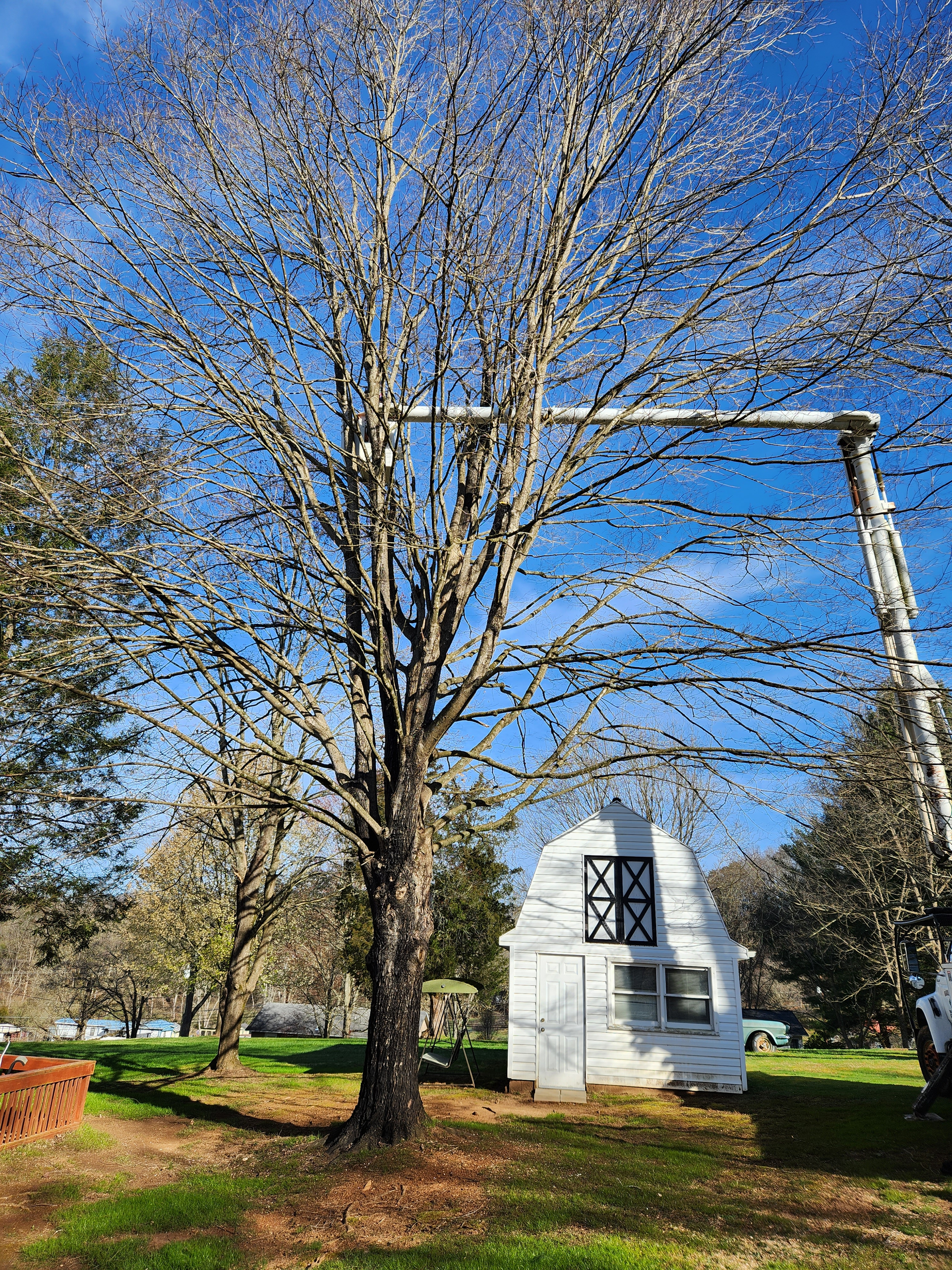 Man sawing tree at height wearing safety — Church Hill, TN — Barrett’s Tree Experts