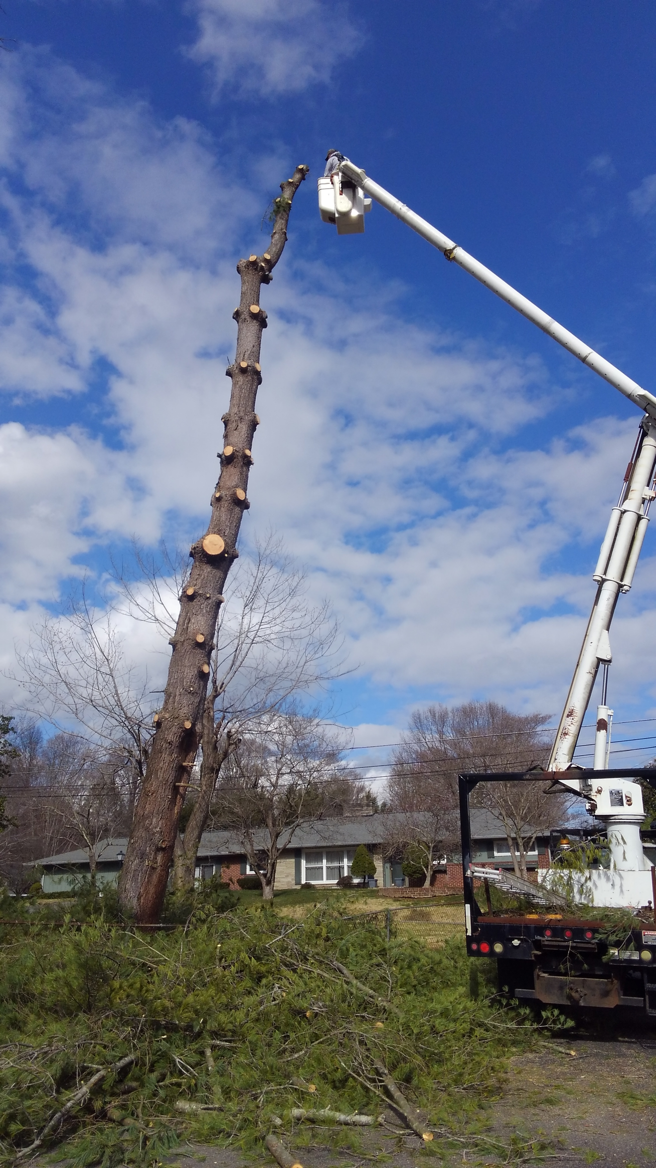 Tree removal — Church Hill, TN — Barrett’s Tree Experts