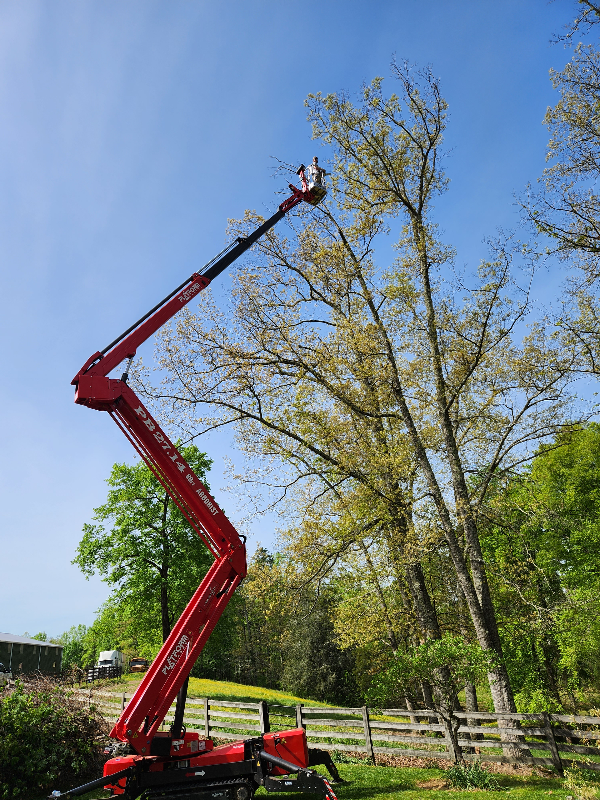 Cut wood reveals the pattern — Church Hill, TN — Barrett’s Tree Experts