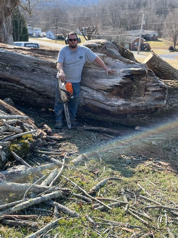 Man standing on tree branch — Church Hill, TN — Barrett’s Tree Experts