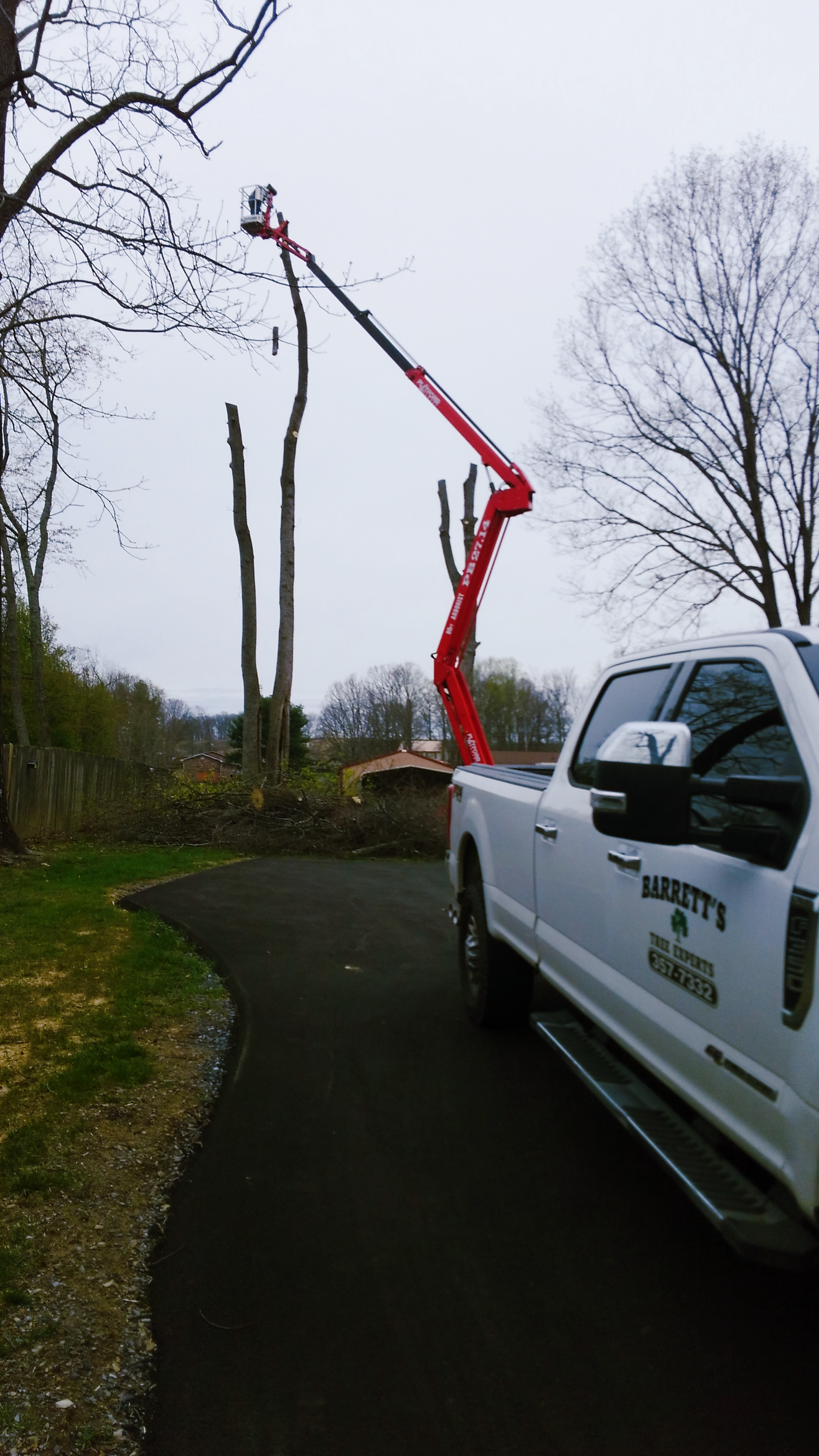 Lumberjack in the crown of a large tree — Church Hill, TN — Barrett’s Tree Experts