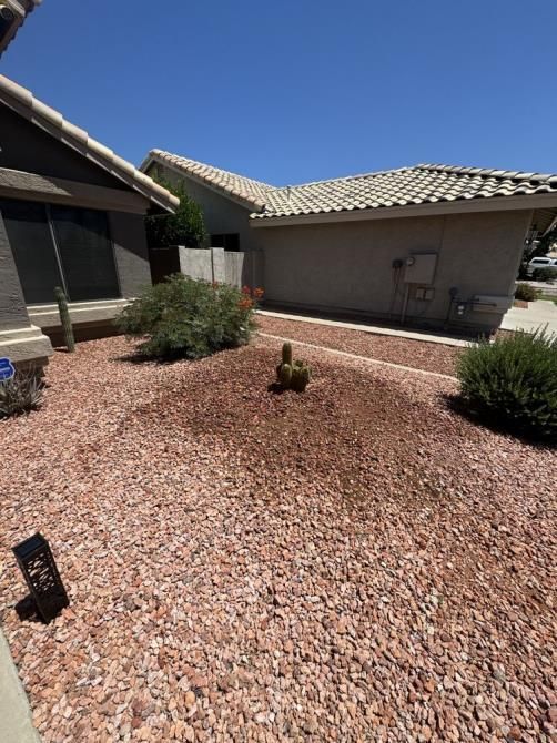 A gravel yard with a cactus in the middle of it