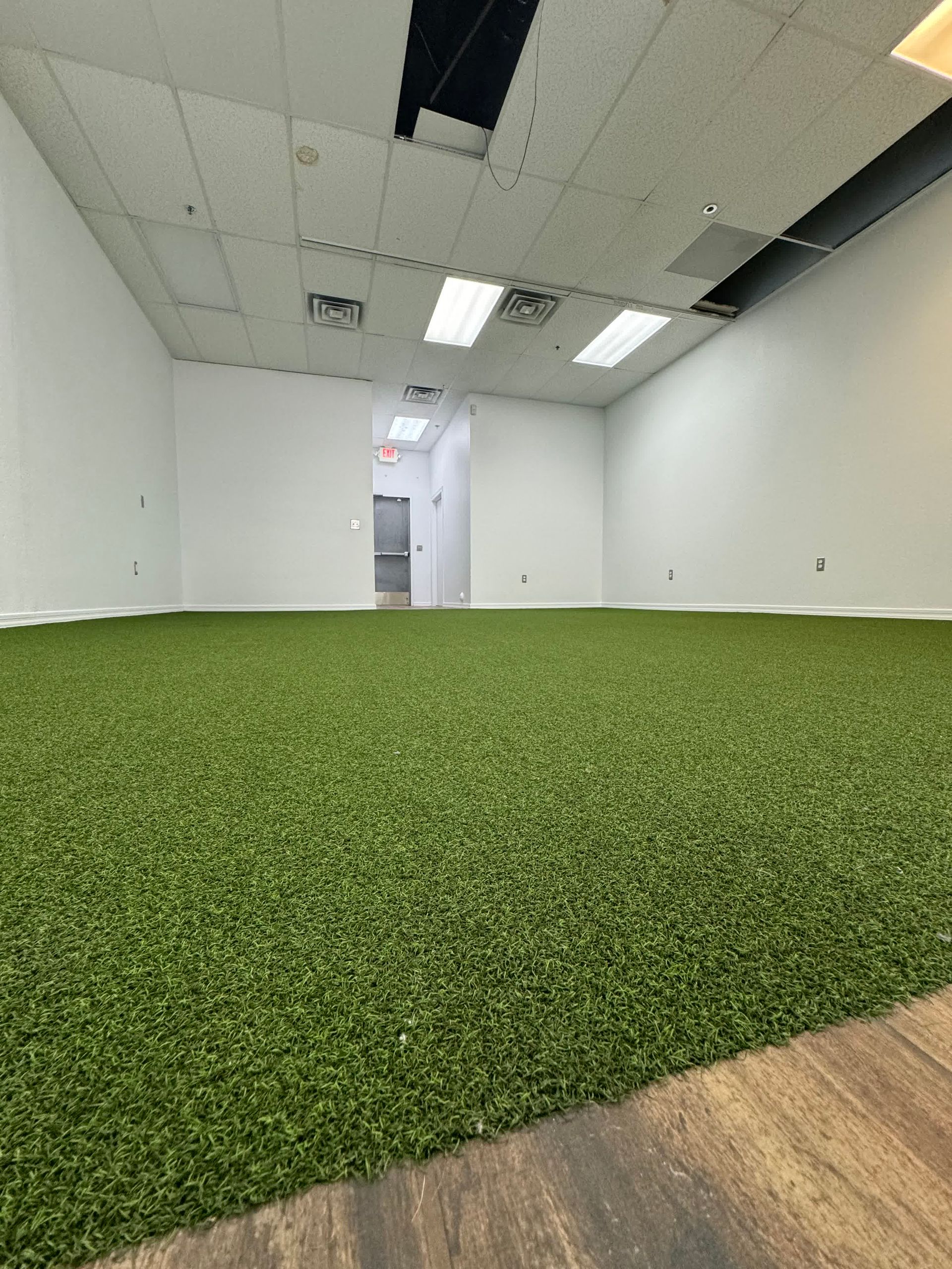 A room with a lot of green grass on the floor.