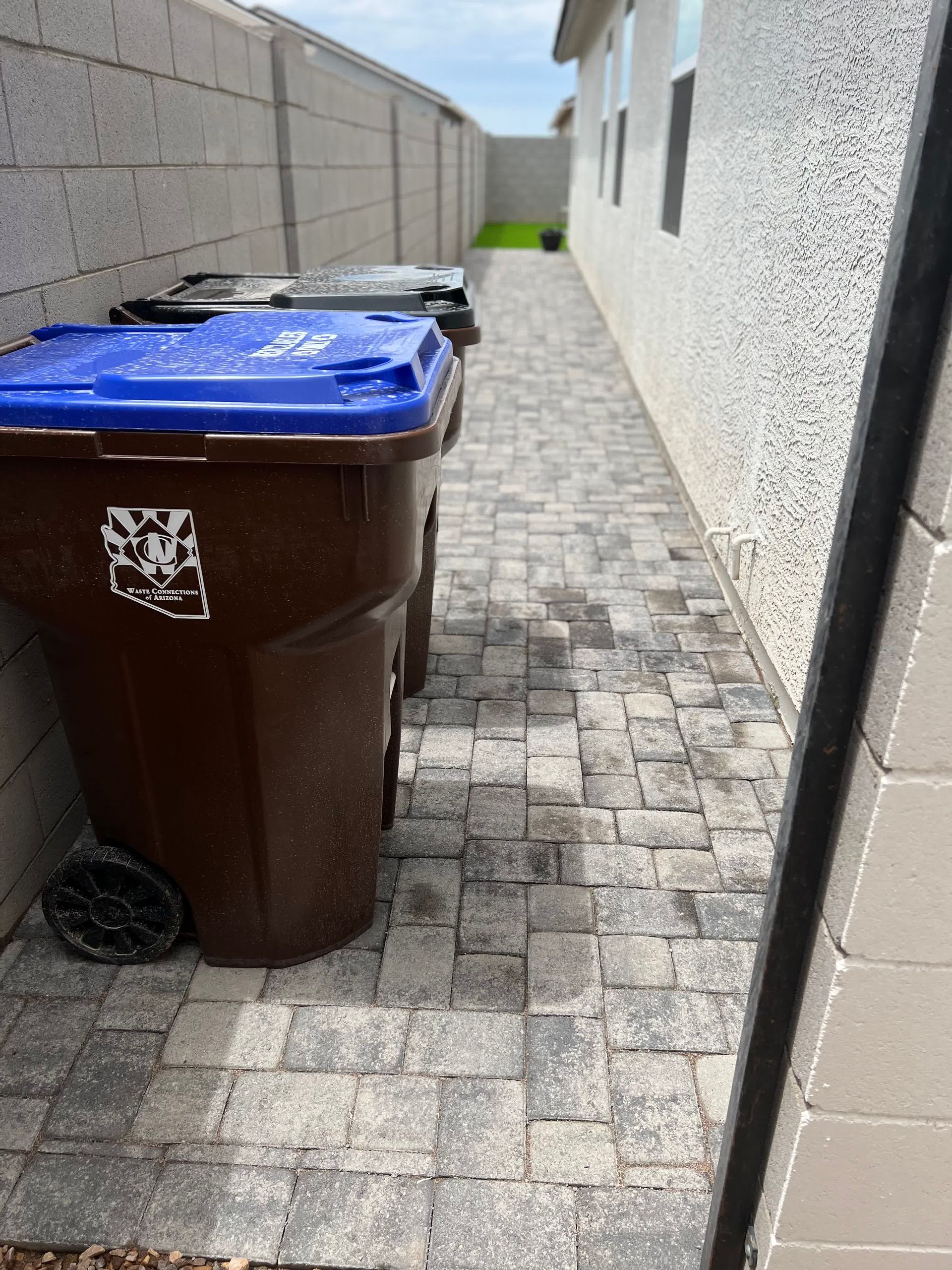 A trash can with a blue lid is sitting on a sidewalk next to a building.