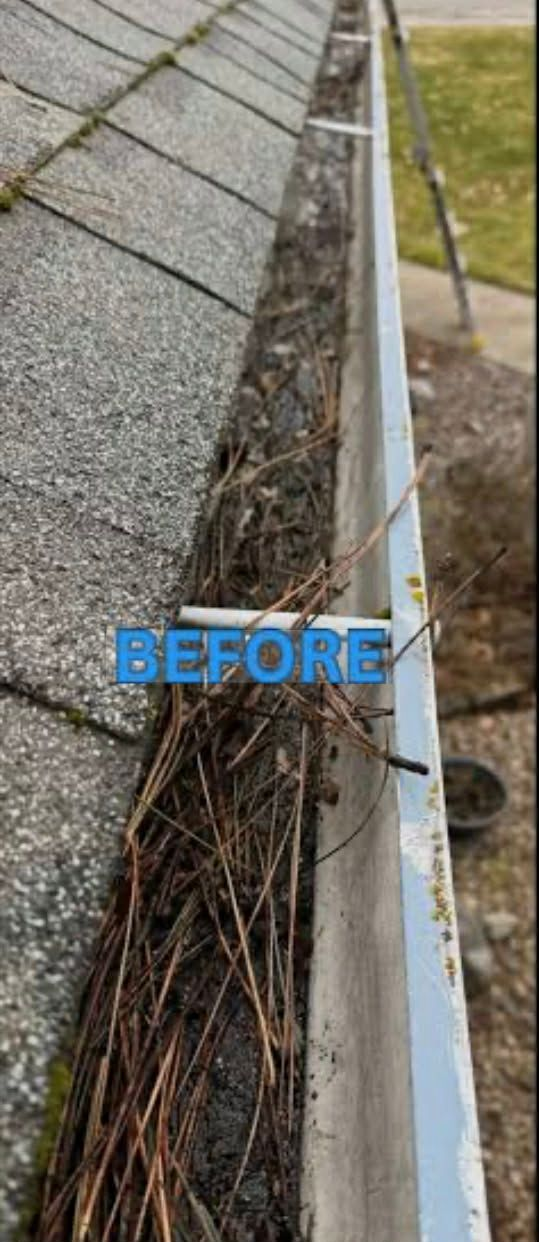 Pressure washing service