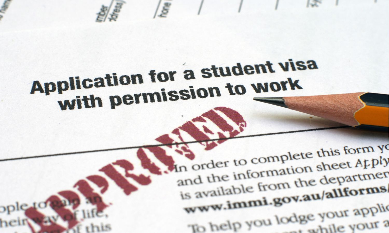 Temporary Non-Immigrant Work Visas