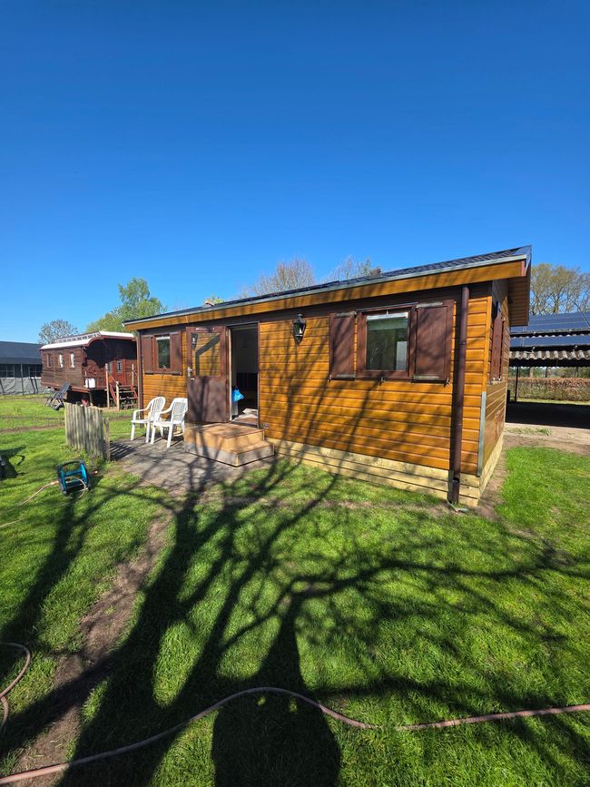 Een kleine houten blokhut met een veranda in een zonnige, grasrijke tuin, met schaduwrijke bomen op de voorgrond.