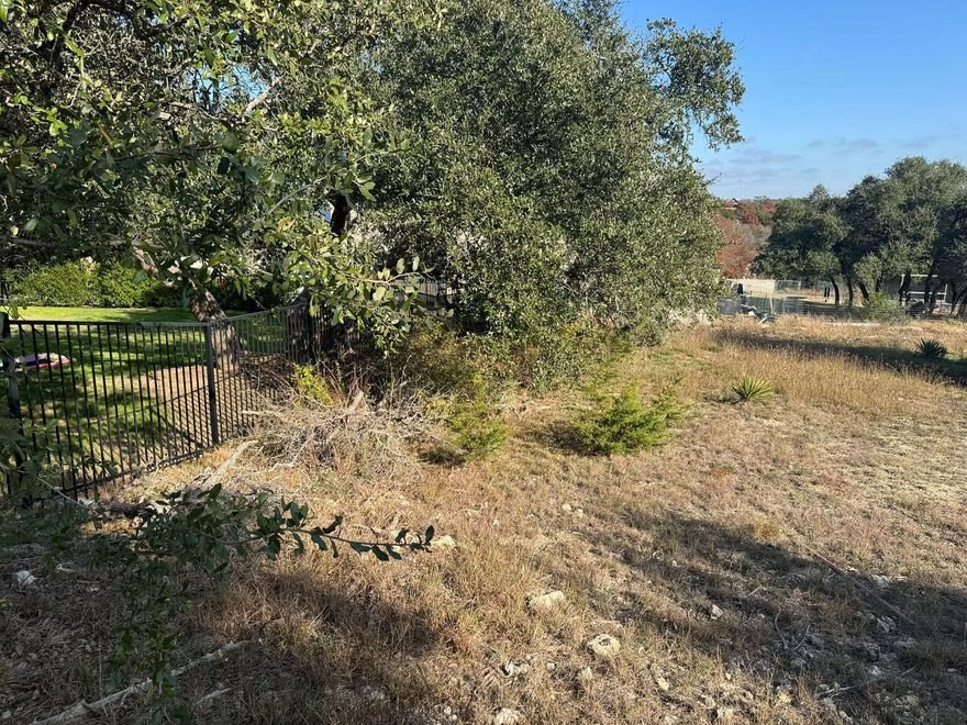 Dry grassy yard with a large leafy tree, black fence, and open field under a clear blue sky