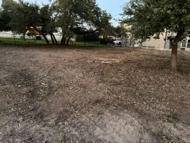 Bare dirt lot with scattered leaves, trees, and a building in the background