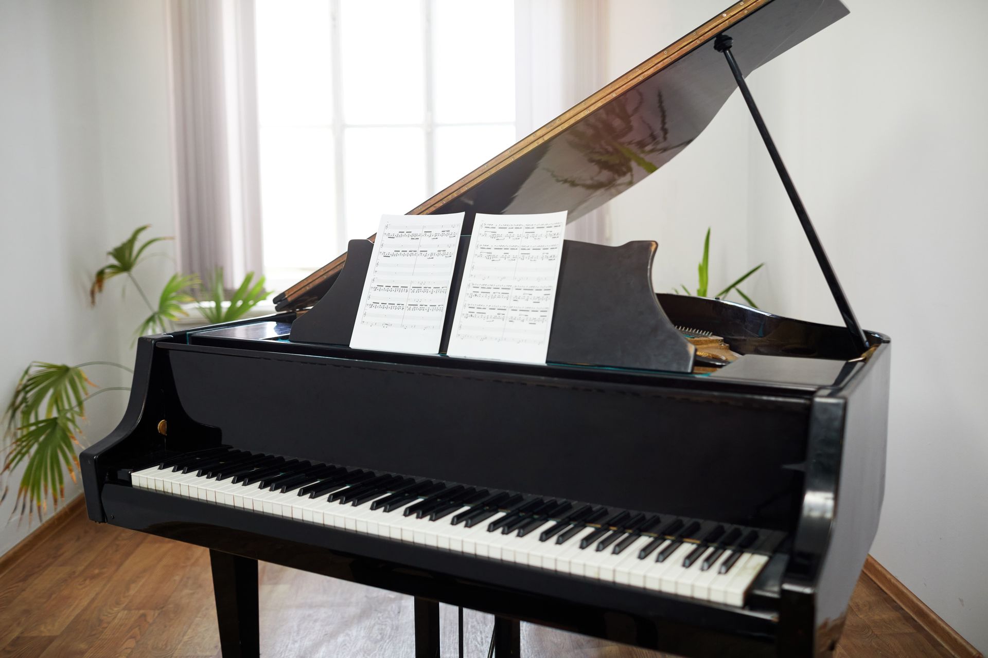 A black grand piano with sheet music sits in a room with a window, white walls, and a potted plant.