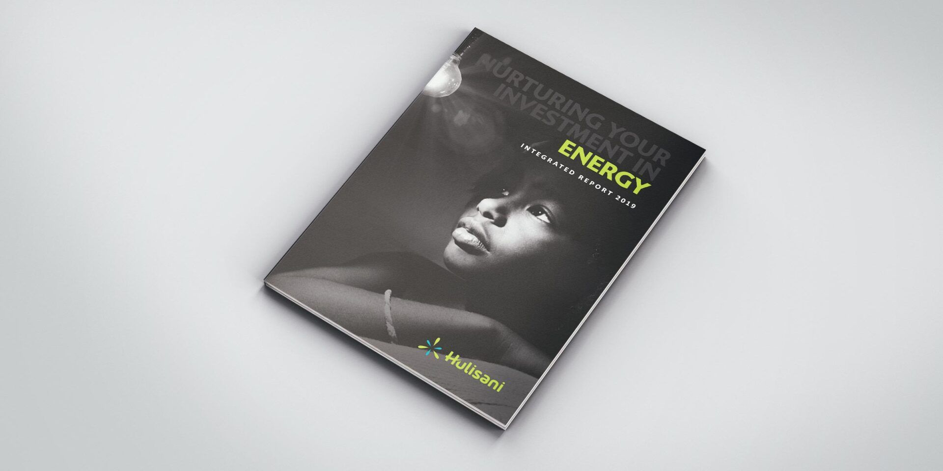 A book titled nurturing your investment in energy