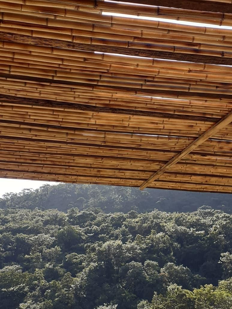 forro-de-bambu-ecologico