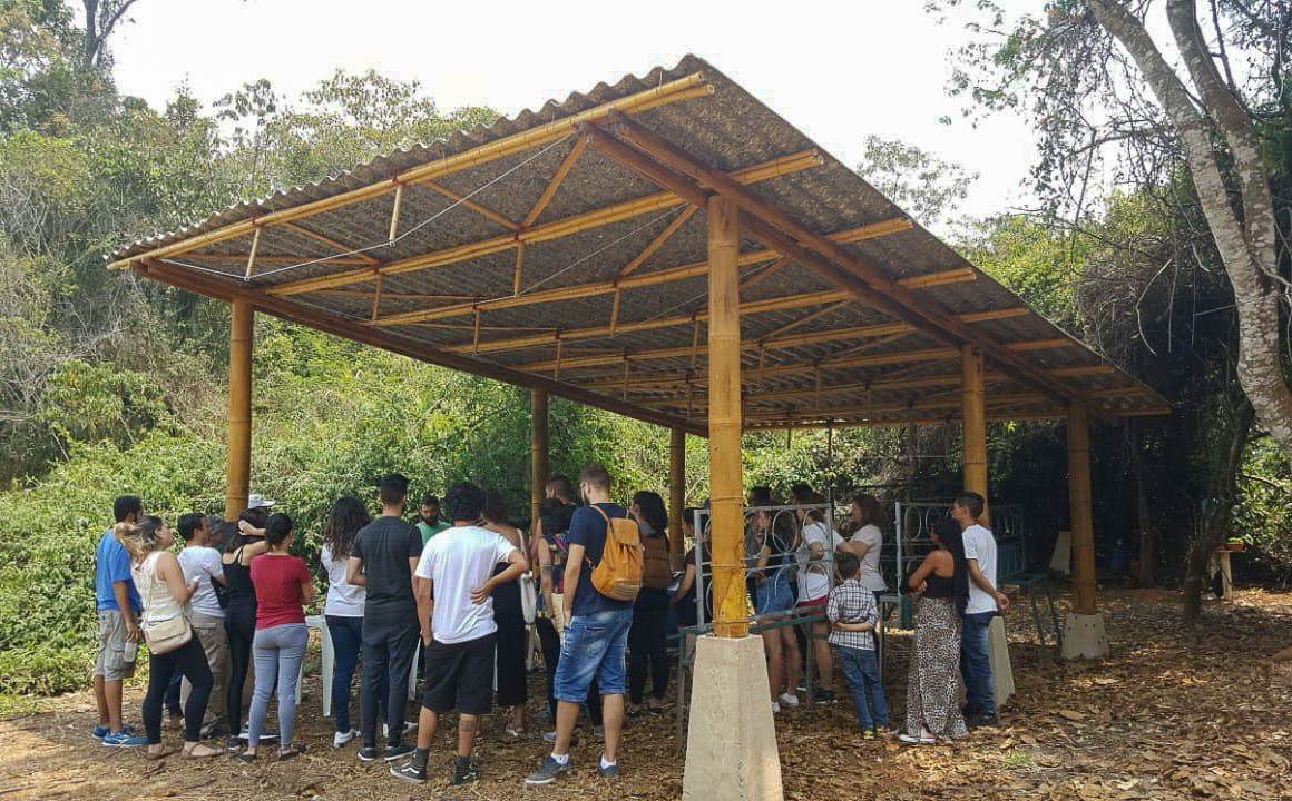 Estrutura-de-bambu-viga-vagão