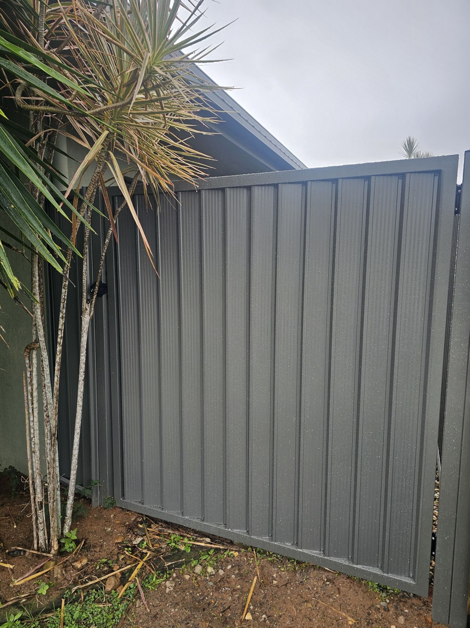 Gray Wooden Fence Gate Beside a Tree and Foliage — KLS Fencing In Innisfail, QLD