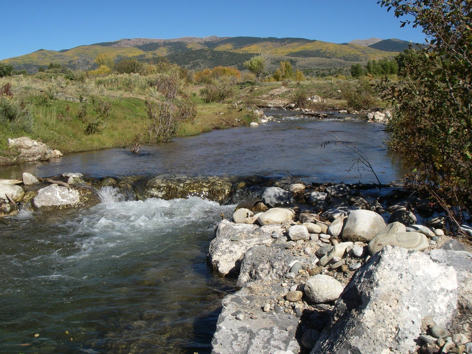 A river flowing through a rocky area with mountains in the background