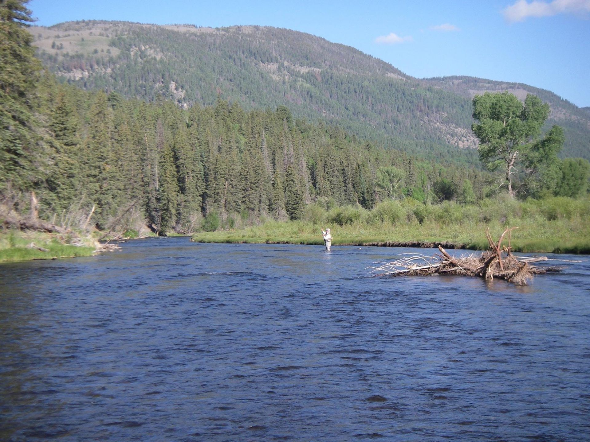 A river with mountains in the background and trees on the shore