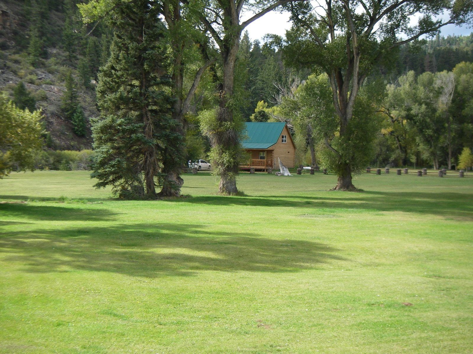 A lush green field with trees and a cabin in the background