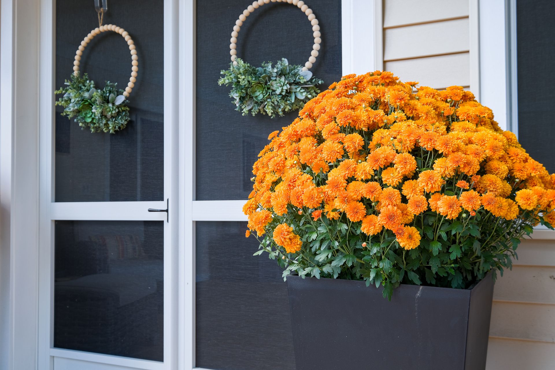 Orange mums in a dark planter beside a door with wreaths.