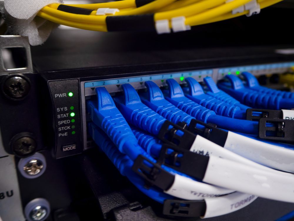Blue Network Cables Plugged Into a Server Switch With Green Status Lights — LSEA Electrical Group in Nebo, QLD