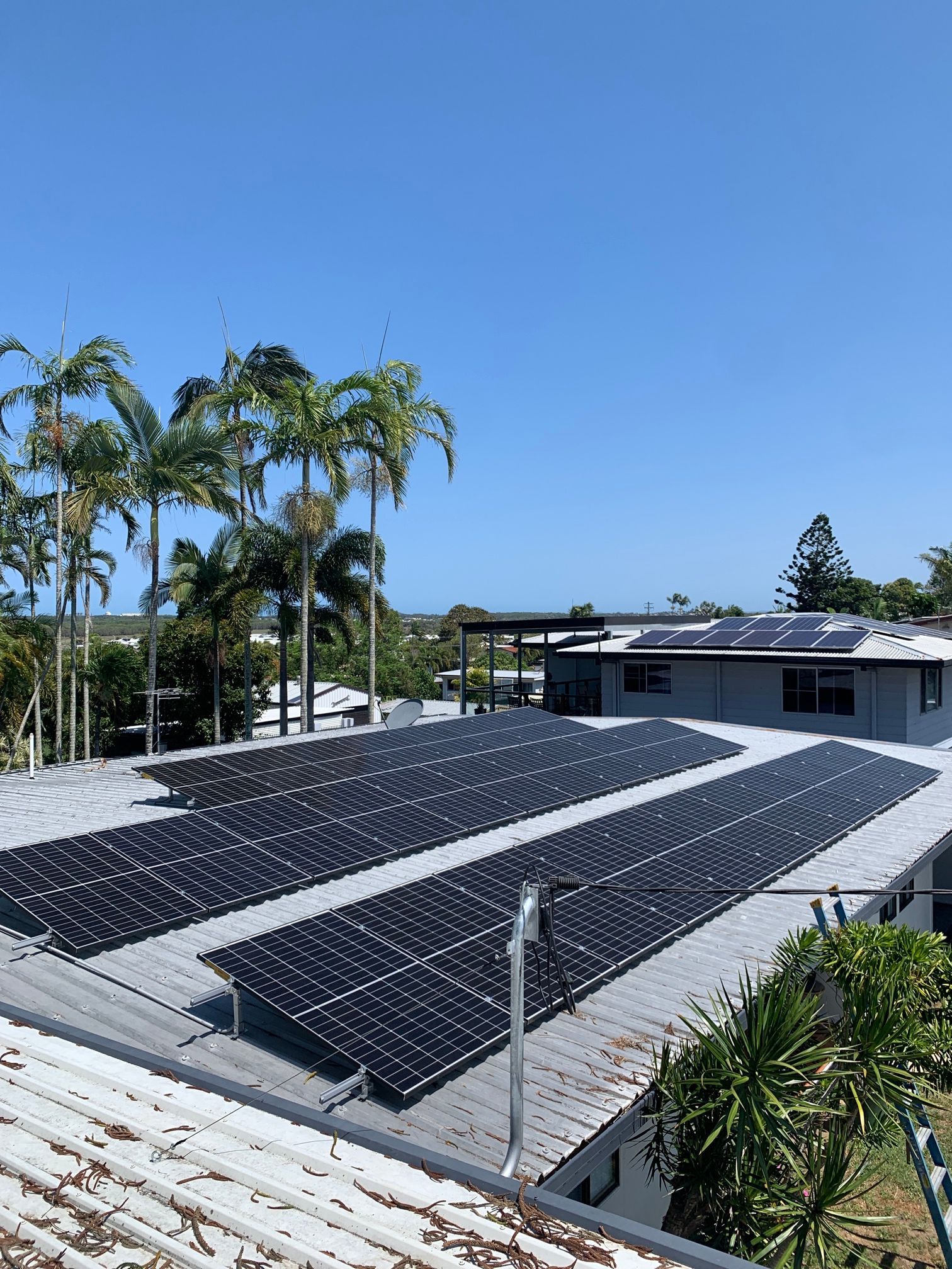 Solar Panels Cover A Residential Rooftop On A Sunny Day; Palm Trees In The Background — LSEA Electrical Group in Bucasia, QLD