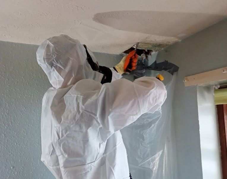 Core Asbestos team surveying asbestos in Scotland renovation site