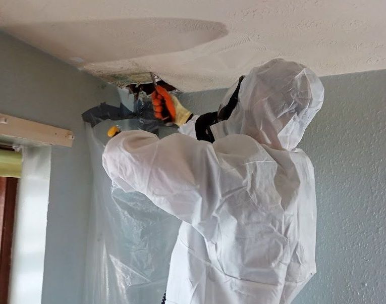 professional in protective clothing trmoving asbestos artex from a ceiling