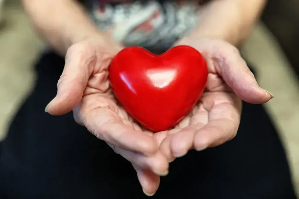 Cover photo for blog article titled Best Supplements For Heart Health
