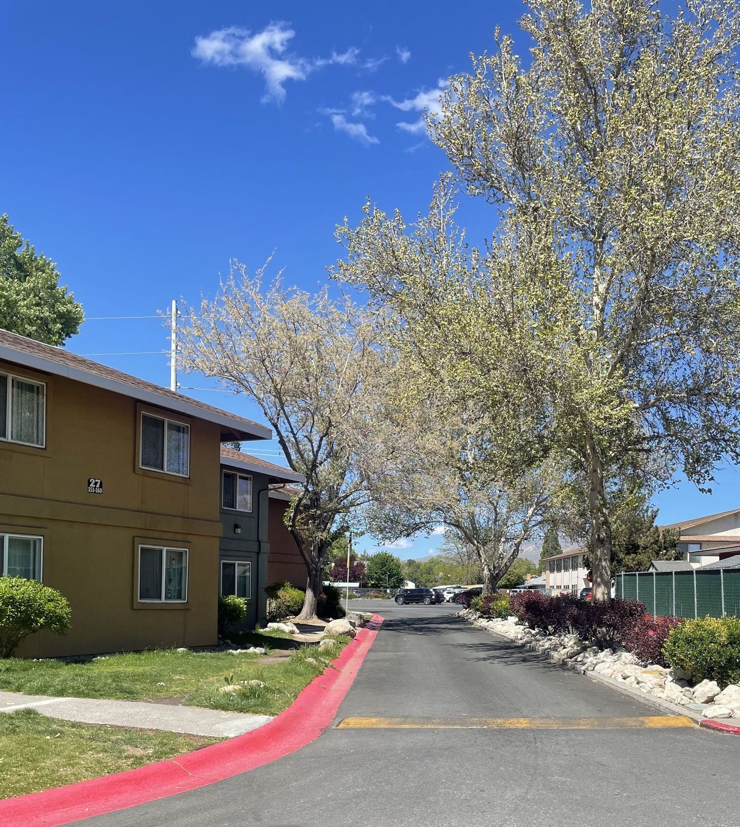 Apartment building and tree-lined road on a sunny day. Red curb with yellow road marking. Blue sky.