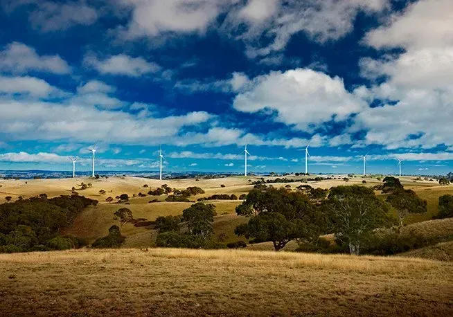 A field with trees and windmills in the background