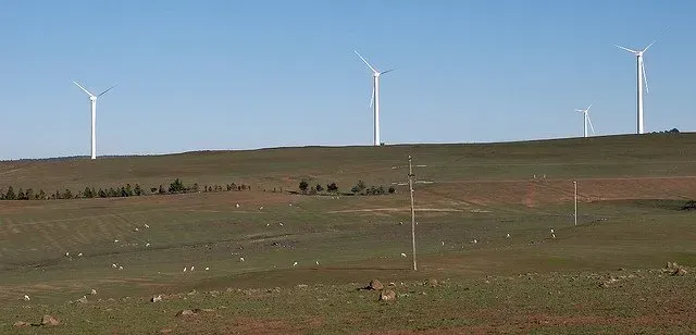 A group of wind turbines are sitting on top of a grassy hill.