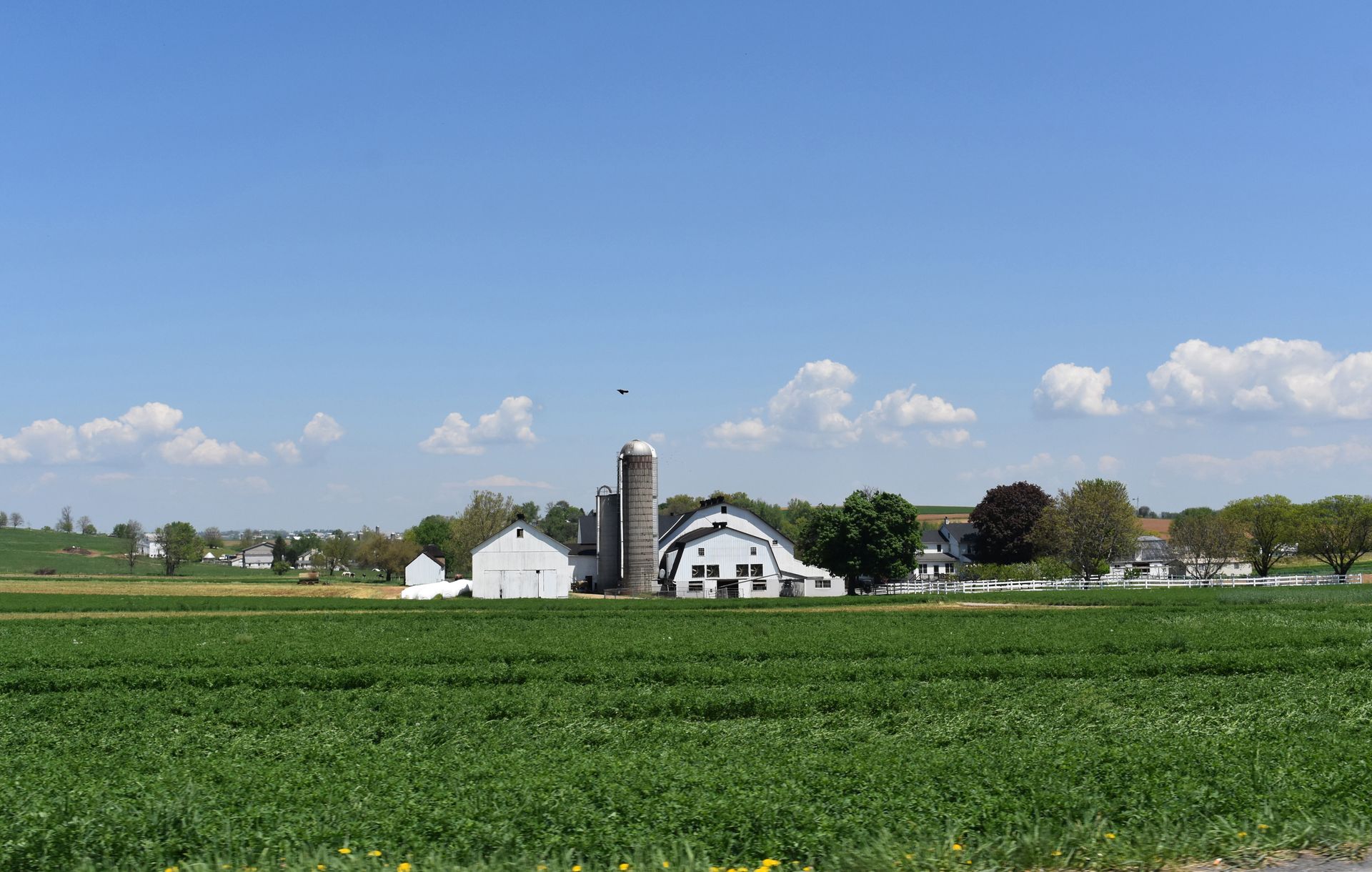 A farm with a silo in the middle of a field
