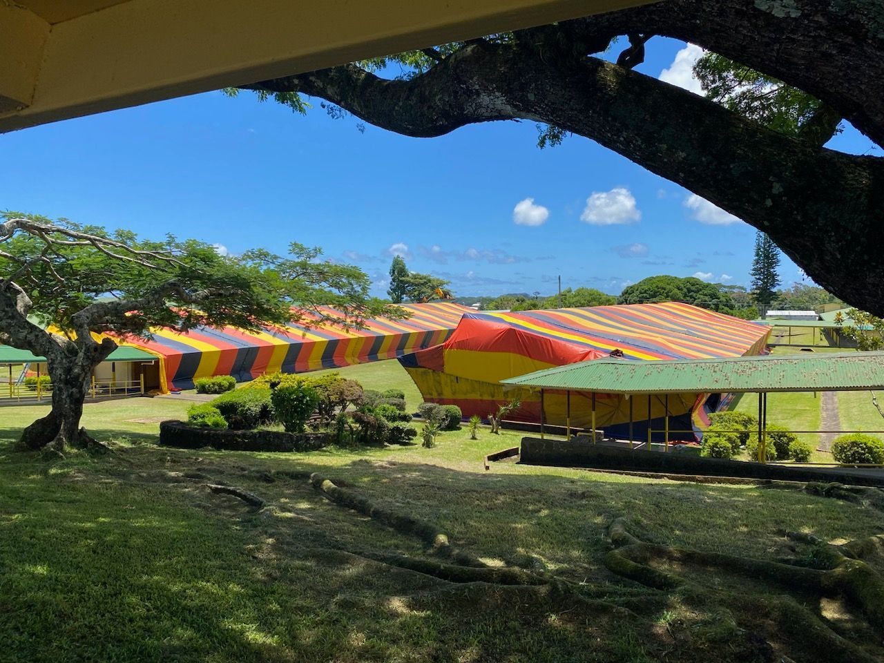 Termites Eating Wood — Hilo, HI — Hilo Termite & Pest Control