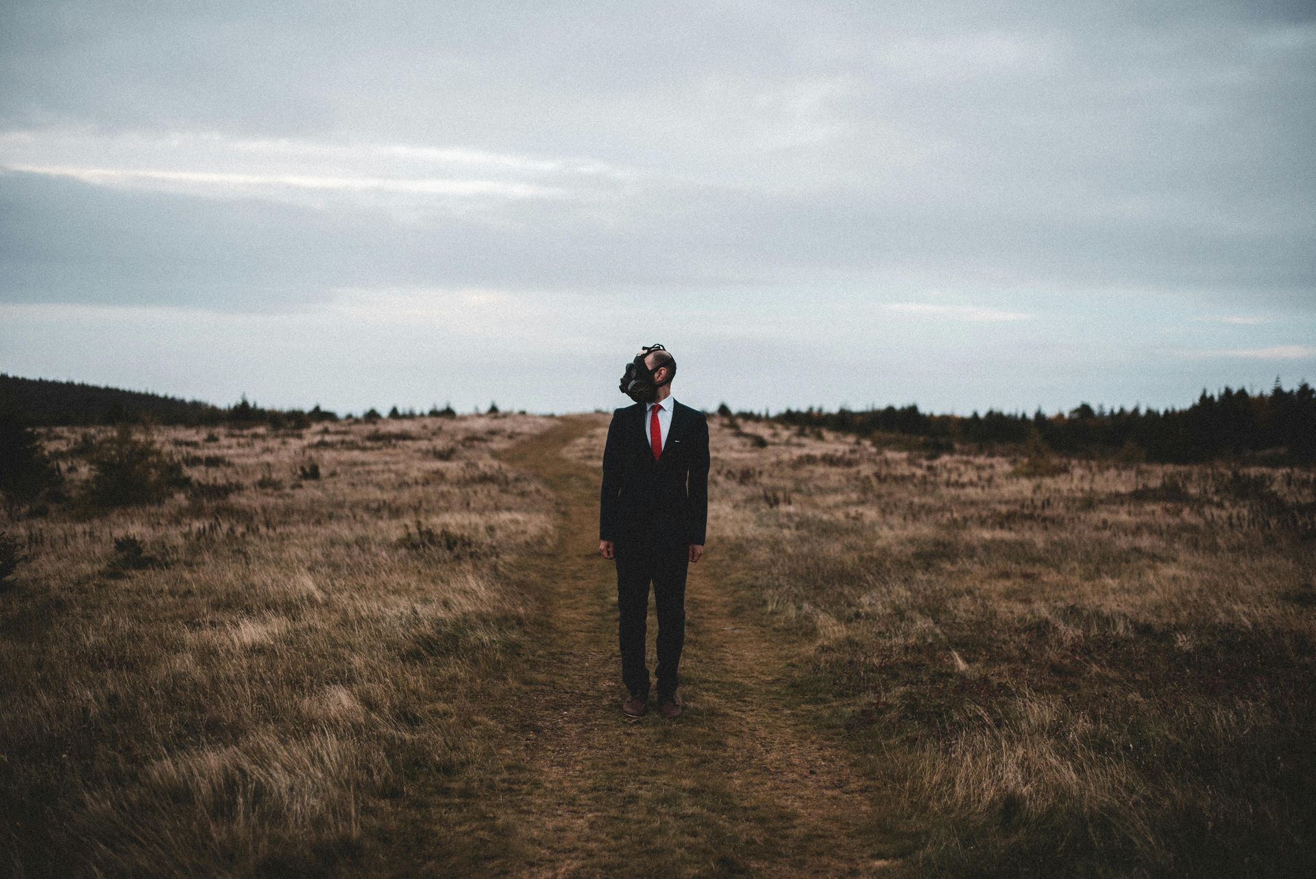 Man in suit and tie with flower head, standing on a path in a field, cloudy sky.