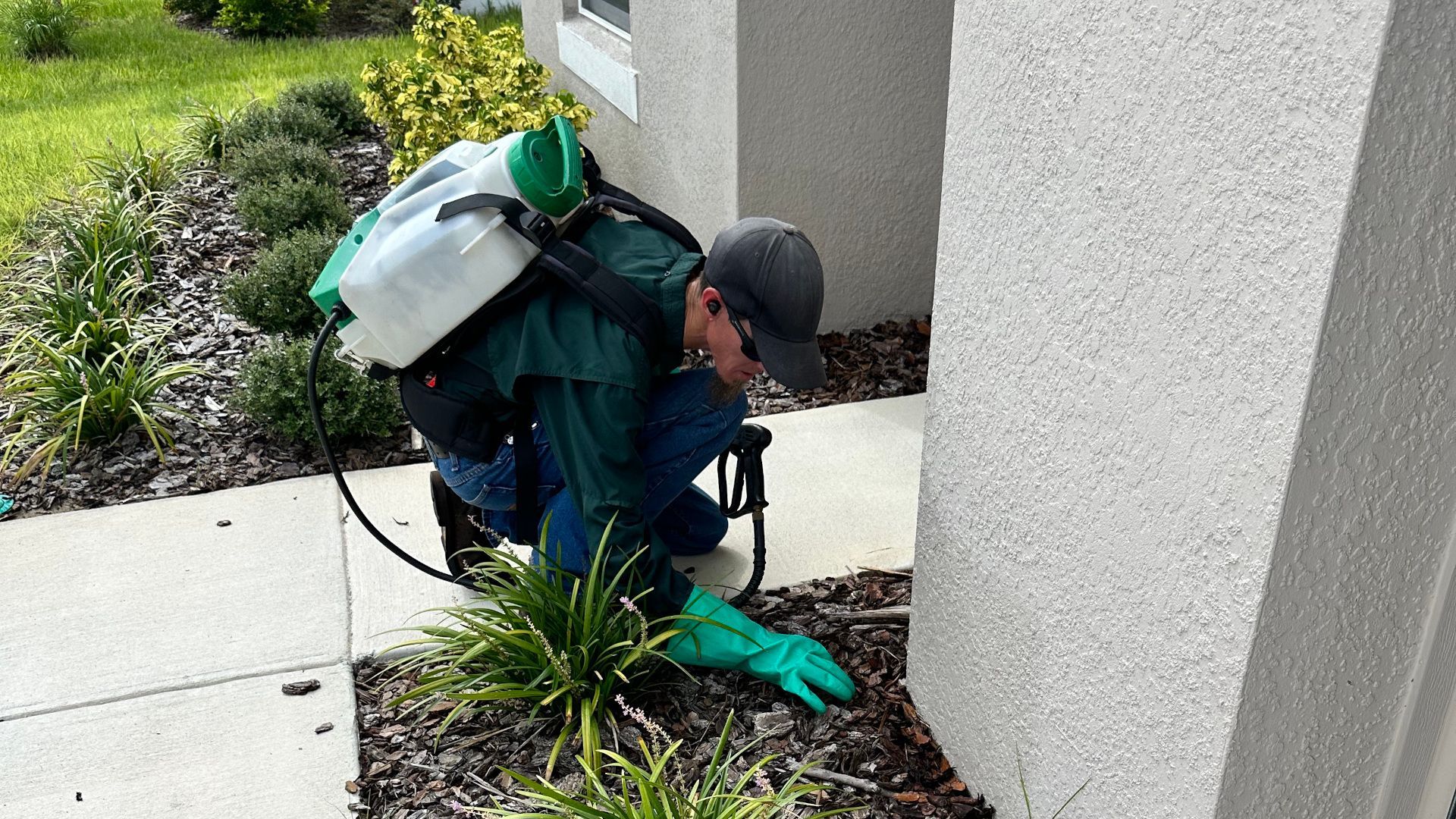 The Importance of Year-Round Pest Monitoring